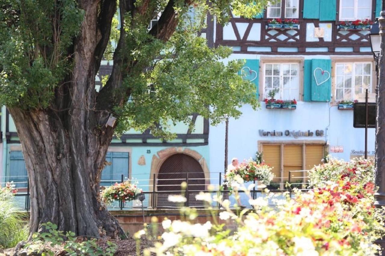 Gite Moka45 Centre Historique "Climatise" Colmar Zewnętrze zdjęcie
